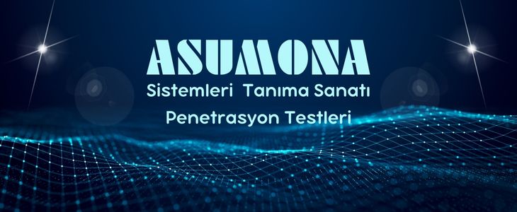 Sistemleri Tanıma Sanatı - Penetrasyon Testleri